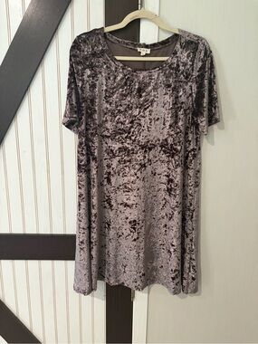 Anthropologie POL Crushed Velvet Short Sleeve Mini Dress - Mauve Taupe Large